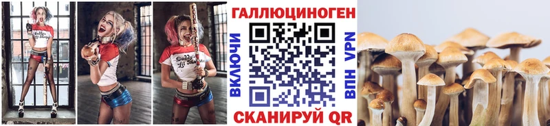 Псилоцибиновые грибы Cubensis  Вяземский 